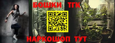 индика Абакан