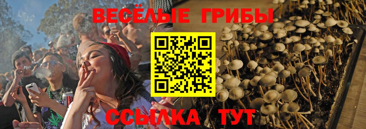 Алатырь  Псилоцибиновые грибы Psilocybe  где найти наркотики  Псилоцибиновые грибы Magic Shrooms  Вход с VPN 
